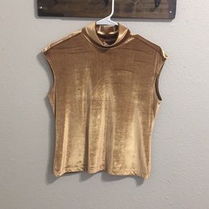 Velvet Mock Top | The Limited